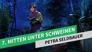 7. Mitten unter Schweinen # Petra Sedlbauer # Clever Queen