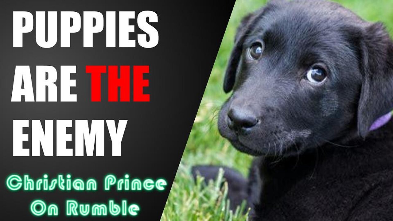 Allah Wages JIHAD on DOGS?! Black Puppies Are The Enemy Of Allah