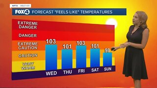 Afternoon Storm Chances Stay Elevated