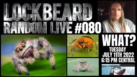 LOCKBEARD RANDOM LIVE #080. What?