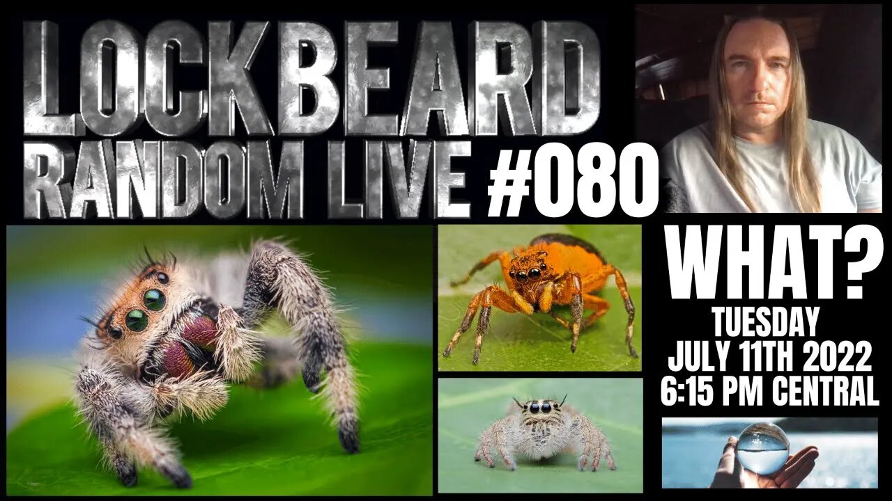 LOCKBEARD RANDOM LIVE #080. What?