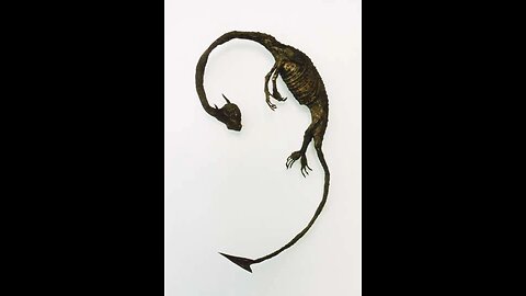 Gensou Hyouhon Kakubutsukan