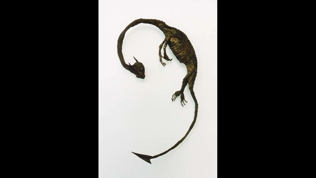 Gensou Hyouhon Kakubutsukan