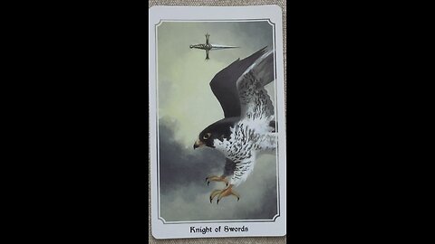 Success has a price tag! What is your success worth? #success #pricetag #tarotary #musings