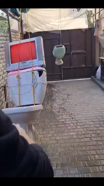 American Politics in a Nutshell 🇺🇸🚽