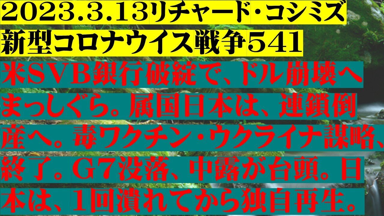 2023.03.13 リチャード・コシミズ新型コロナウイルス戦争５４１