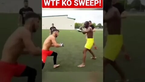 WTF MMA KO SWEEP OF DEATH!