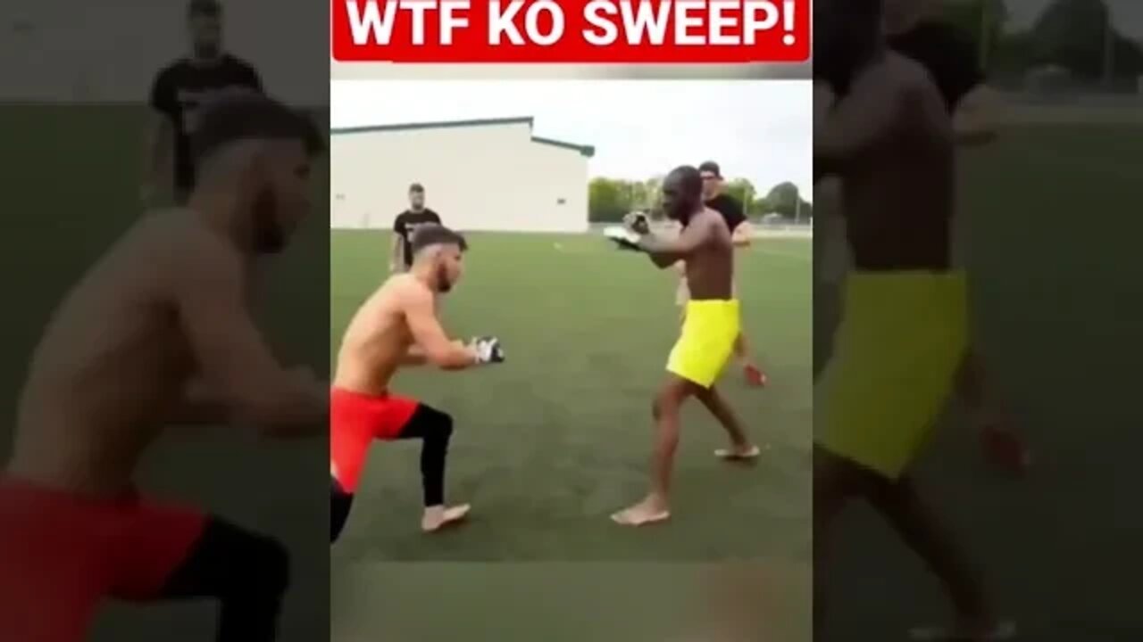 WTF MMA KO SWEEP OF DEATH!