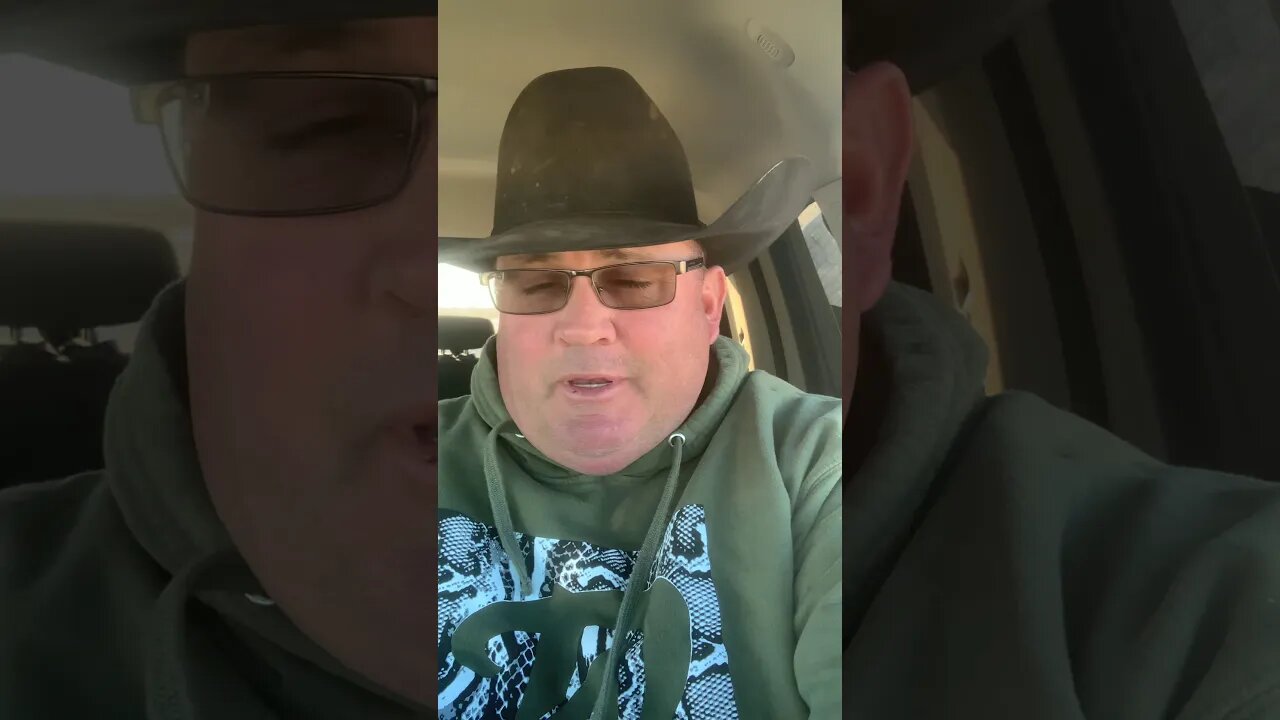 The birthday surprise