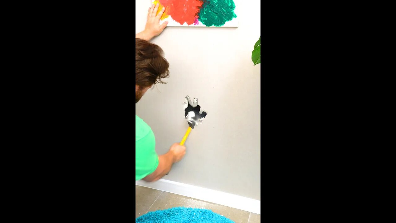 Build your own secret dog room behind the wall 🐶