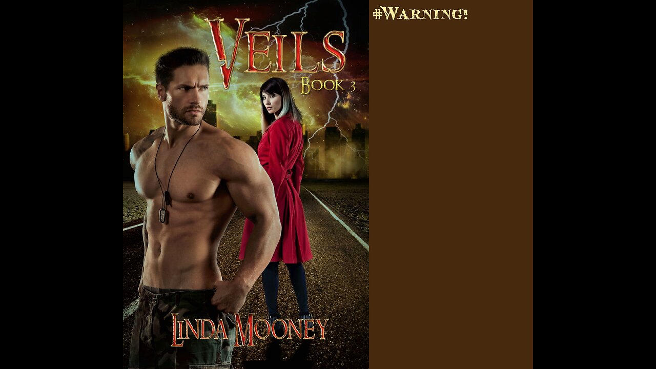 VEILS, Book 3, a Sci-Fi /Time Travel Romance