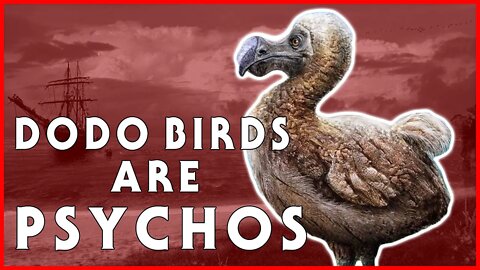 Dodo Birds Are Psychos - Nerd Cave Court