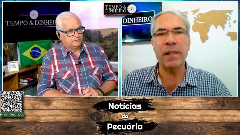 Boi gordo pressionado com pico de safra,tem poucos negócios e recua em SP