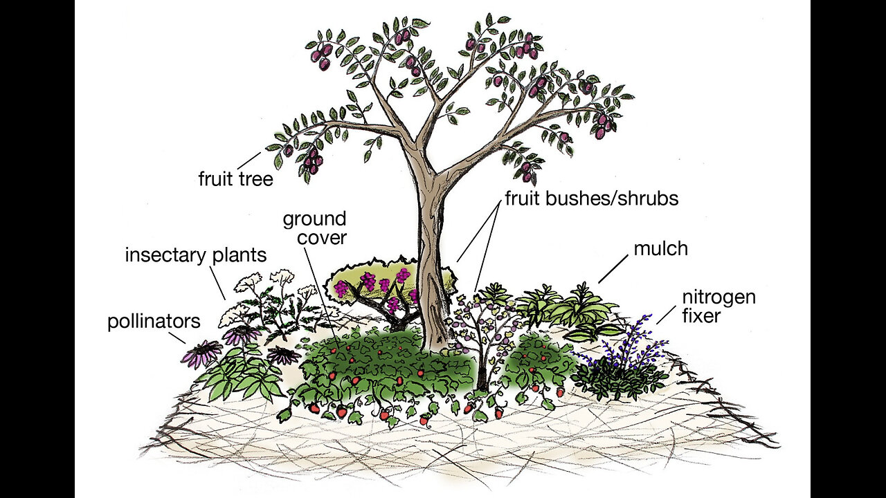 PERMACULTURE IS EMPOWERMENT/MEDICAL MEDIUM 369 CLEANSING IS EMPOWERMENT