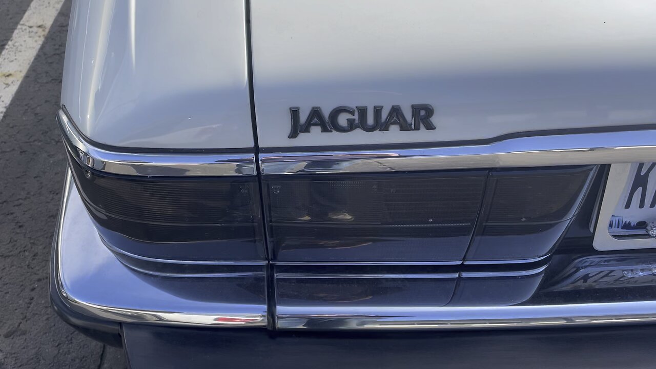 1993 jaguar convertible… in the wild
