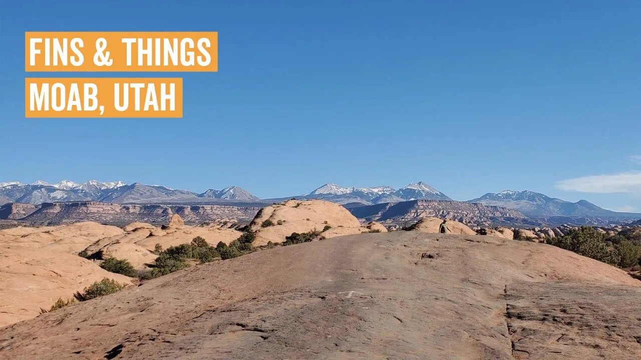 Fins & Things Moab Utah