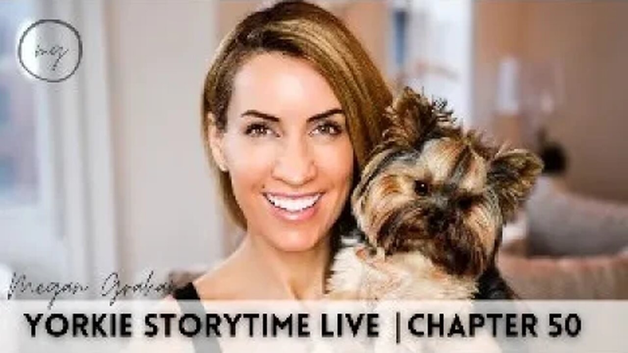 Yorkie Storytime Live | Chapter 50