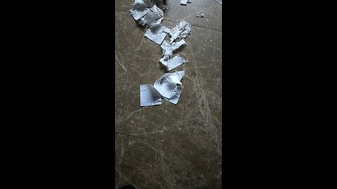 play cat