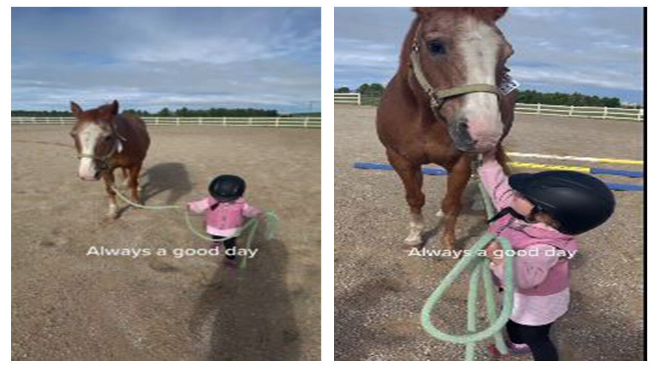 watch this special relation between kid and her horse