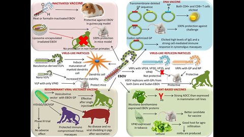 두 얼굴의 백신, 스튜어트블룸, 전염병은 통제할수 있다, 코로나 사기, 컨테이전, 영화, 탄저, 천연두, 공포, 패닉, 팬데믹, 백일해, 파상풍, 결핵, 콜레라, 소아마비, 황열