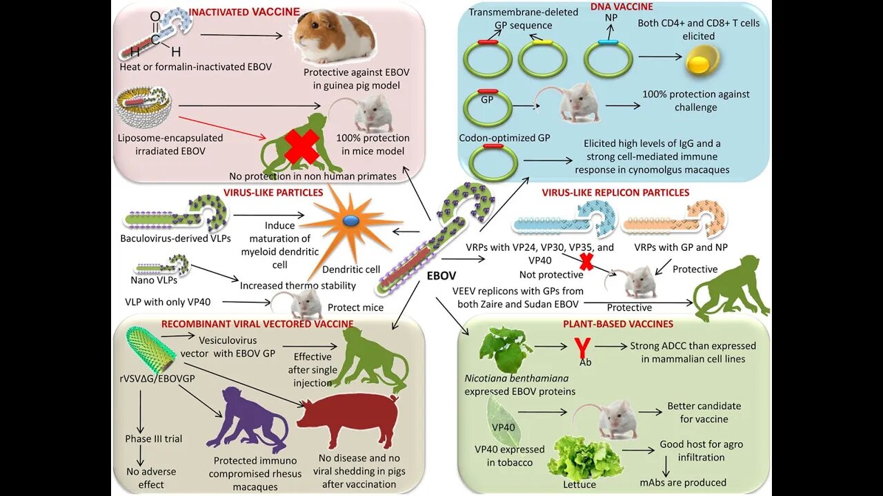 두 얼굴의 백신, 스튜어트블룸, 전염병은 통제할수 있다, 코로나 사기, 컨테이전, 영화, 탄저, 천연두, 공포, 패닉, 팬데믹, 백일해, 파상풍, 결핵, 콜레라, 소아마비, 황열