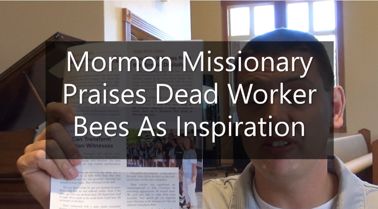 Mormon Missionary Praised Dead Worker Bees As Inspiration