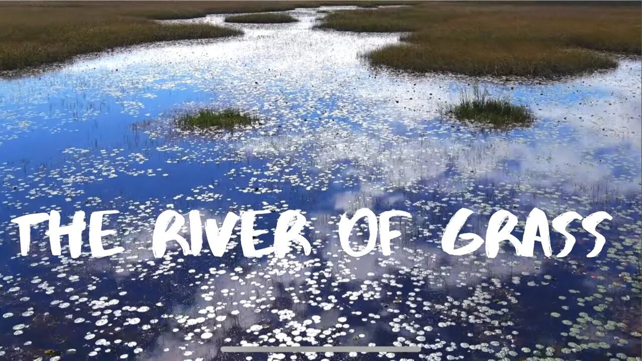 Florida Everglades River of Grass