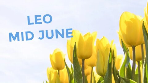 LEO ♌