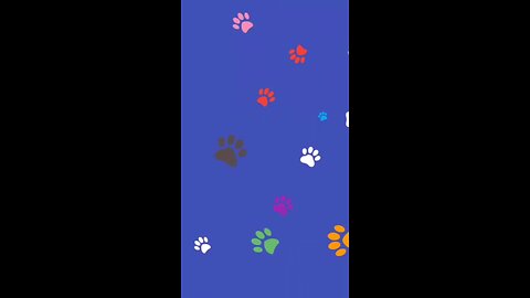 cat and dog cute and funny videos 😸