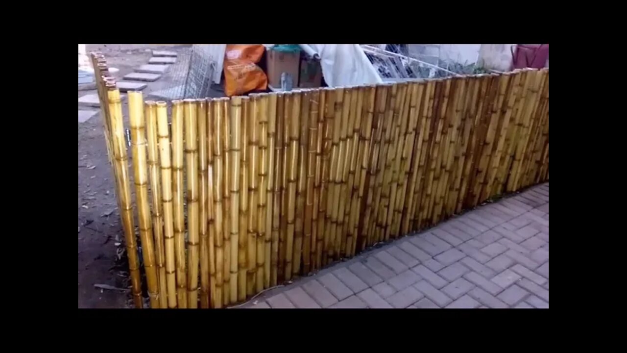 cerca de bambu,fence,cana da índia facil de fazer