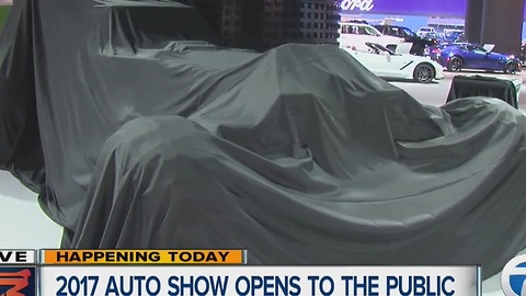 Auto Show reveal