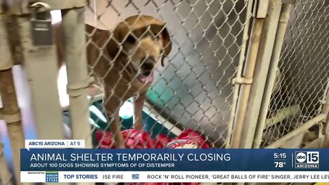 MCACC shelter closing temporarily over distemper outbreak