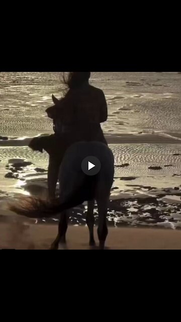 What a gentle horse.