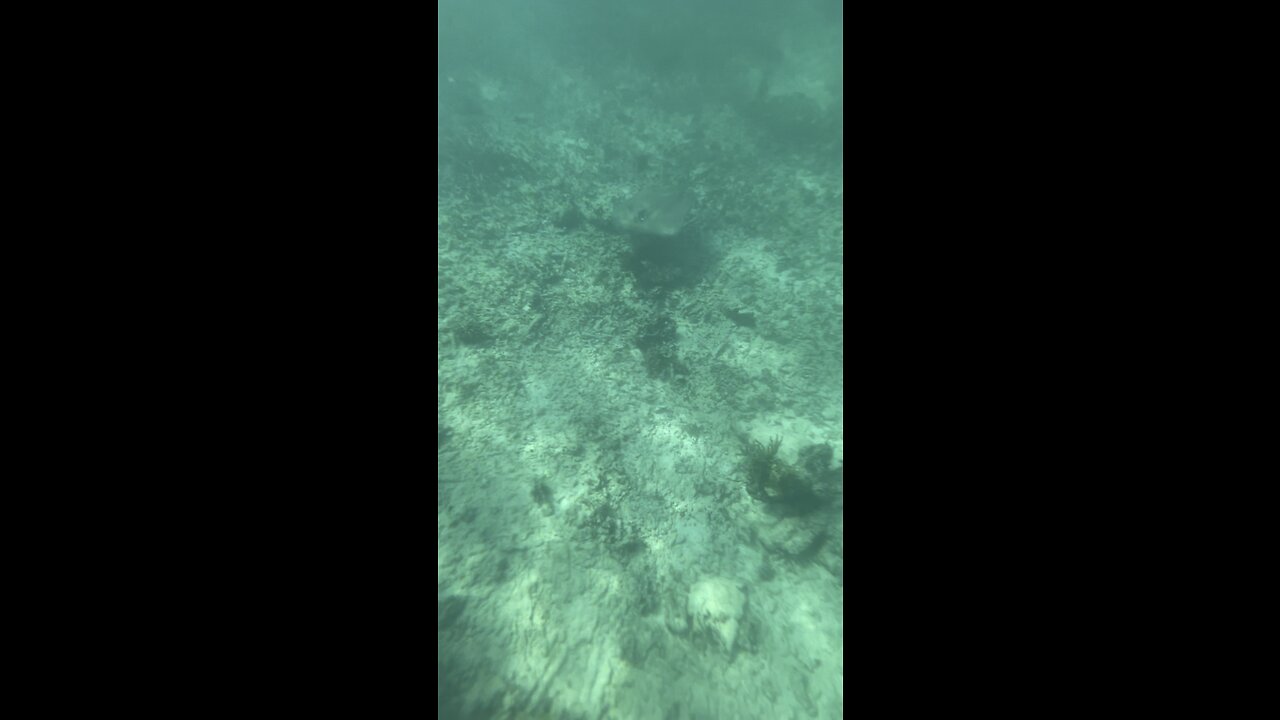 Snorkelling in Tulum