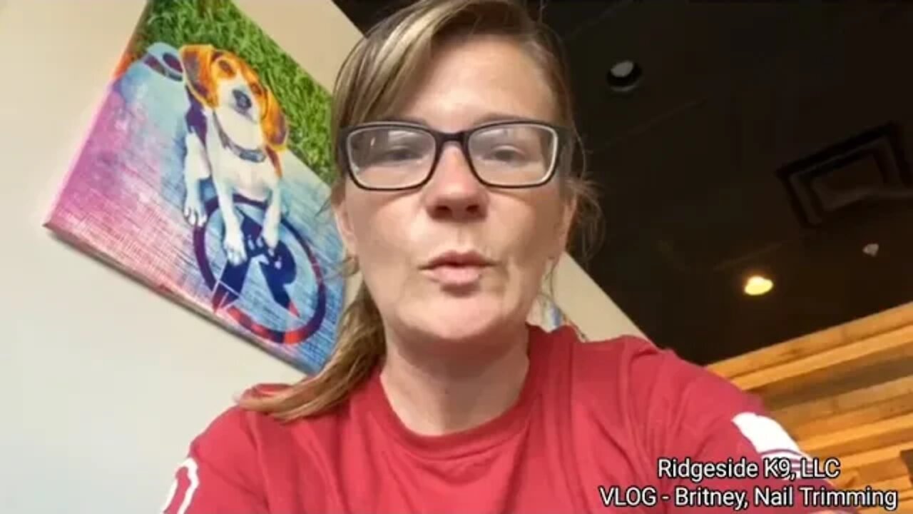 RSK9 Britney, VLOG. Dog Trainers Life. Ridgeside K9, LLC