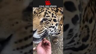 mistura de amor e coragem