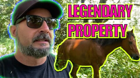 MY LEGENDARY OLD PROPERTY (Moving the horses)