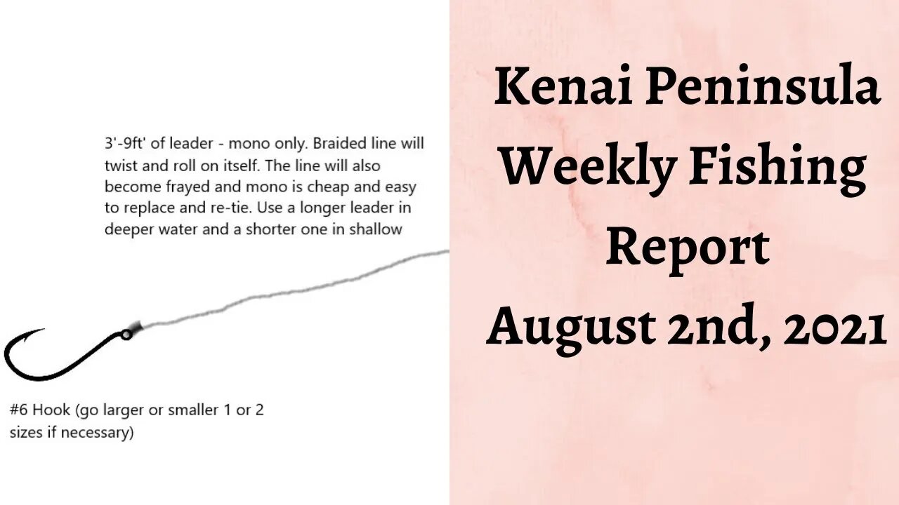 Kenai Peninsula Weekly Fishing Report | August 2nd, 2021