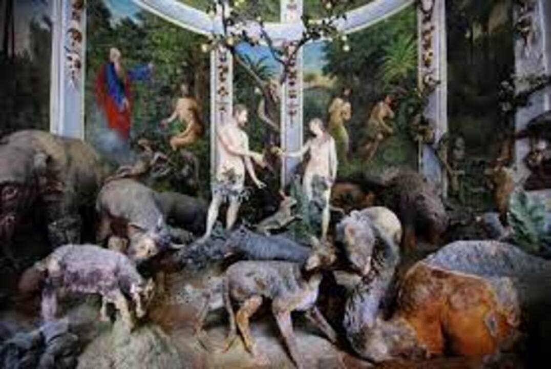 genesis part 4