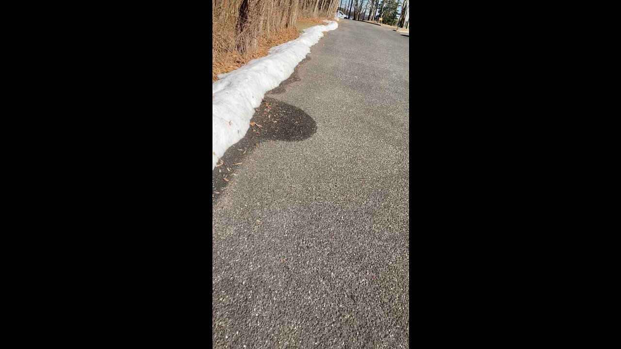 Manasquan Reservoir on a beautiful day