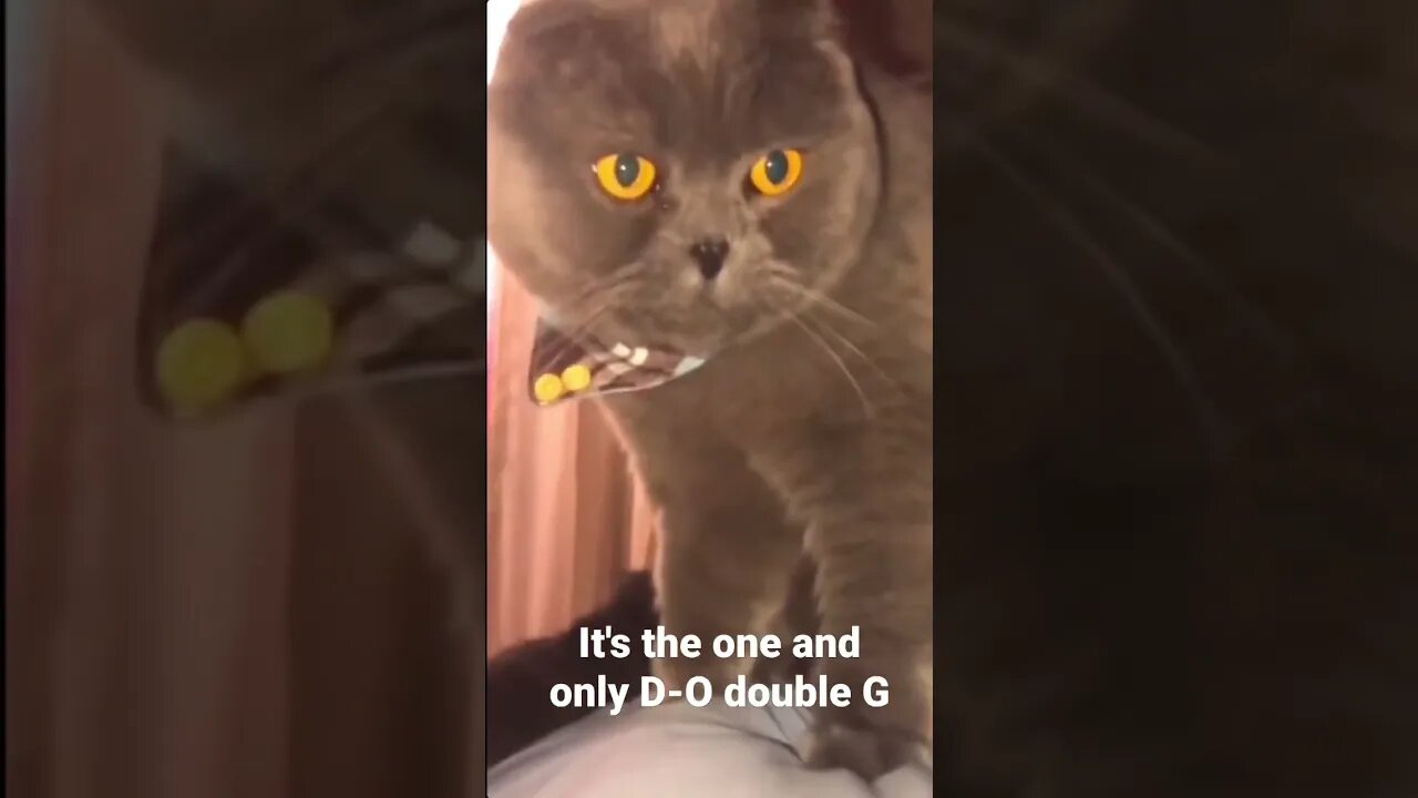 It's the one and only D-O double G