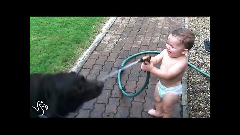 Babies Laughing At Pets | The Dodo