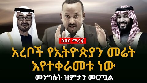 አረቦች የኢትዮጵያን መሬት እየተቀራመቱ ነው | መንግስት ዝምታን መርጧል | UAE | SUDAN | EGYPT