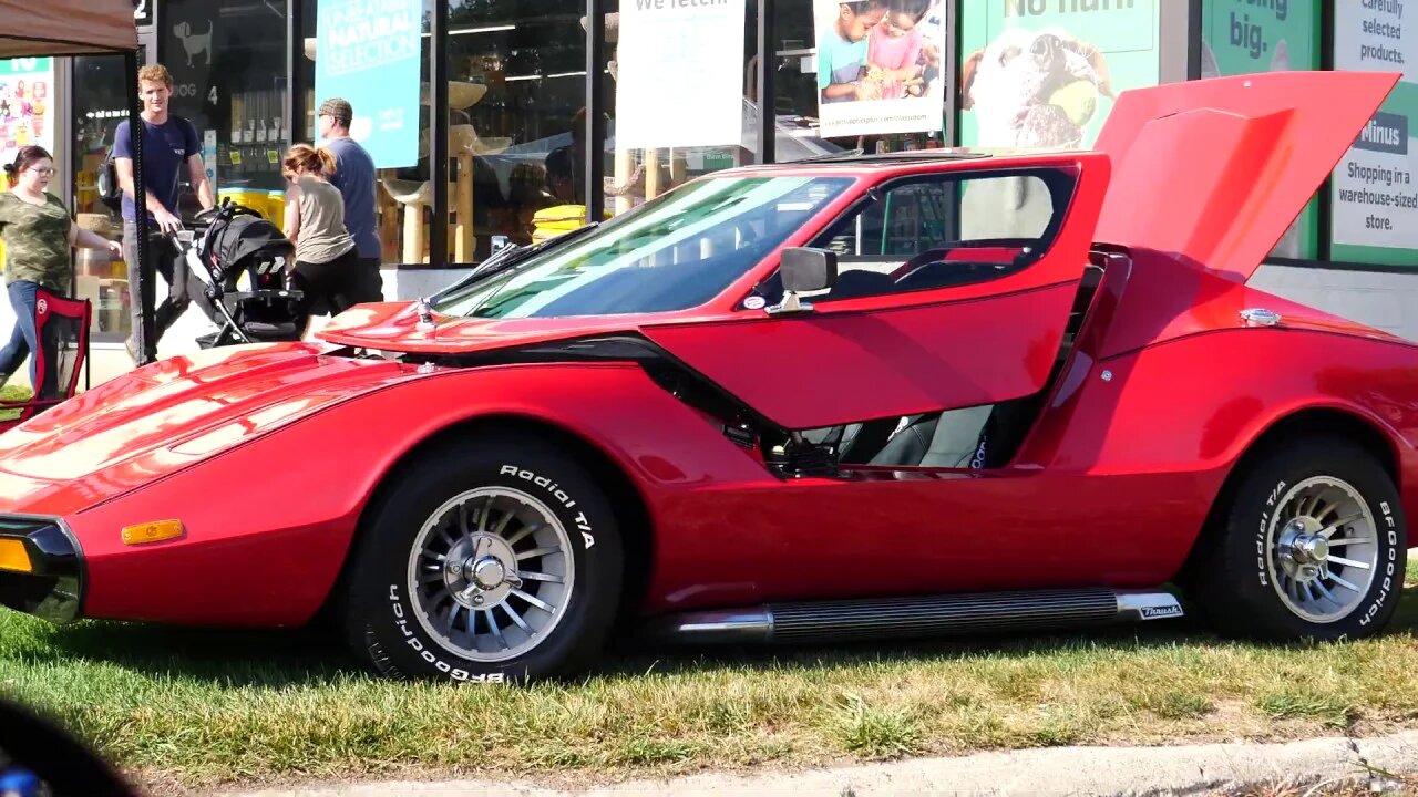 Driving My Firebird In the Woodward Dream Cruise