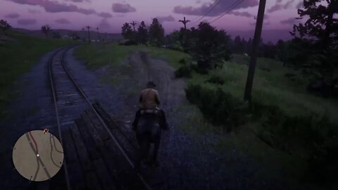 Red Dead Redemption 2 part 5