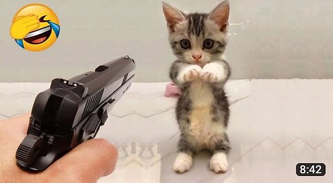 Funny Animals 2023 | New Video Funniest Cats And Dogs | So Funny 🤣