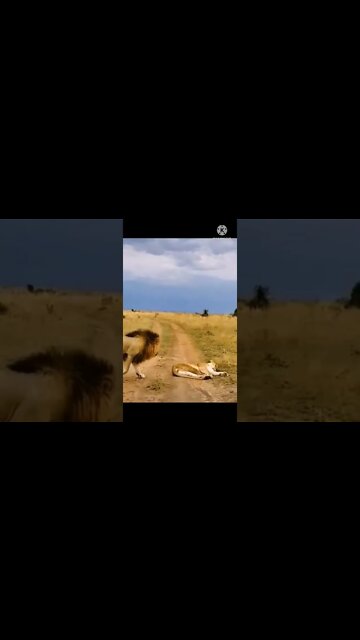 MOTU PATLU Wrong Heads with Spiderman in Hindi Superman Hulk Iron Man | Motu Patlu Cartoon in#shorts