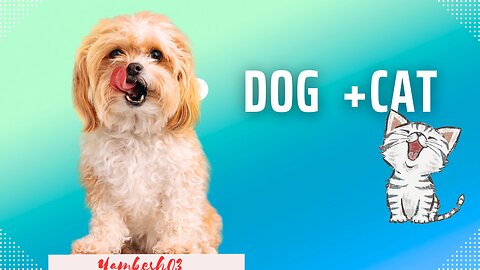 WOW The Dog was so Funny 😋 😛 😝 😜 🤪