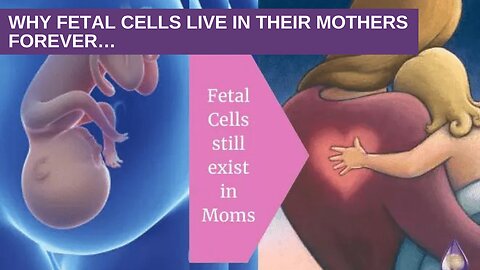 UMBILICAL CORD TRUTH. (MOTHER/CHILD FETAL CELLS CONNECTION)