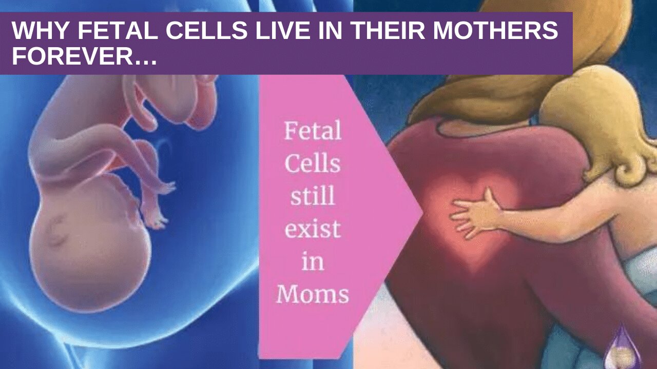 UMBILICAL CORD TRUTH. (MOTHER/CHILD FETAL CELLS CONNECTION)